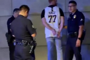 东子球衣太搞了WNBA投掷假阳具的球迷已被逮捕！